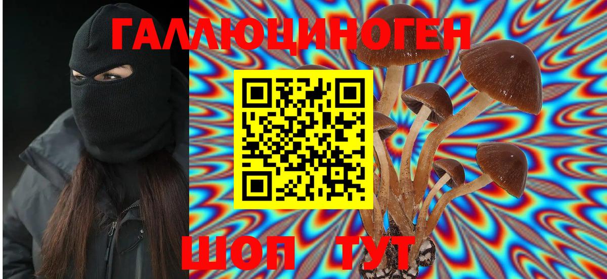Псилоцибиновые грибы GOLDEN TEACHER Асино