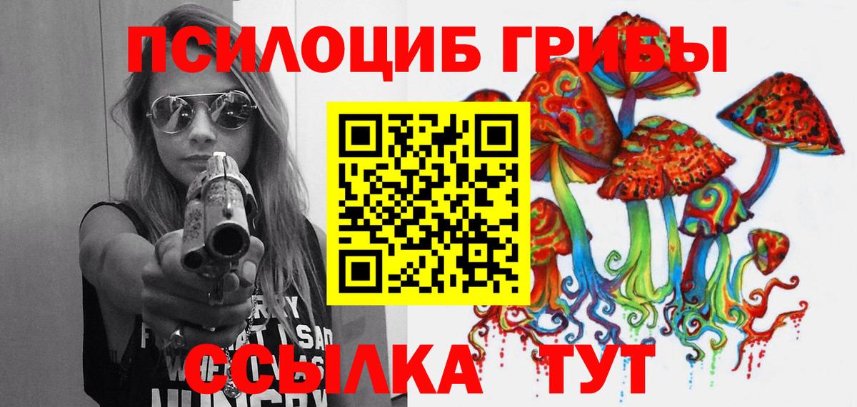 Галлюциногенные грибы Cubensis  Вход с VPN  Галлюциногенные грибы Psilocybine cubensis  Асино 